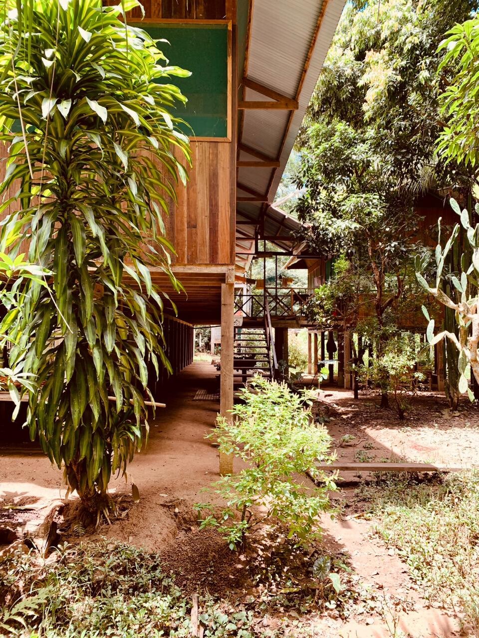 Lovely room in a reforestation center-Mashonaste