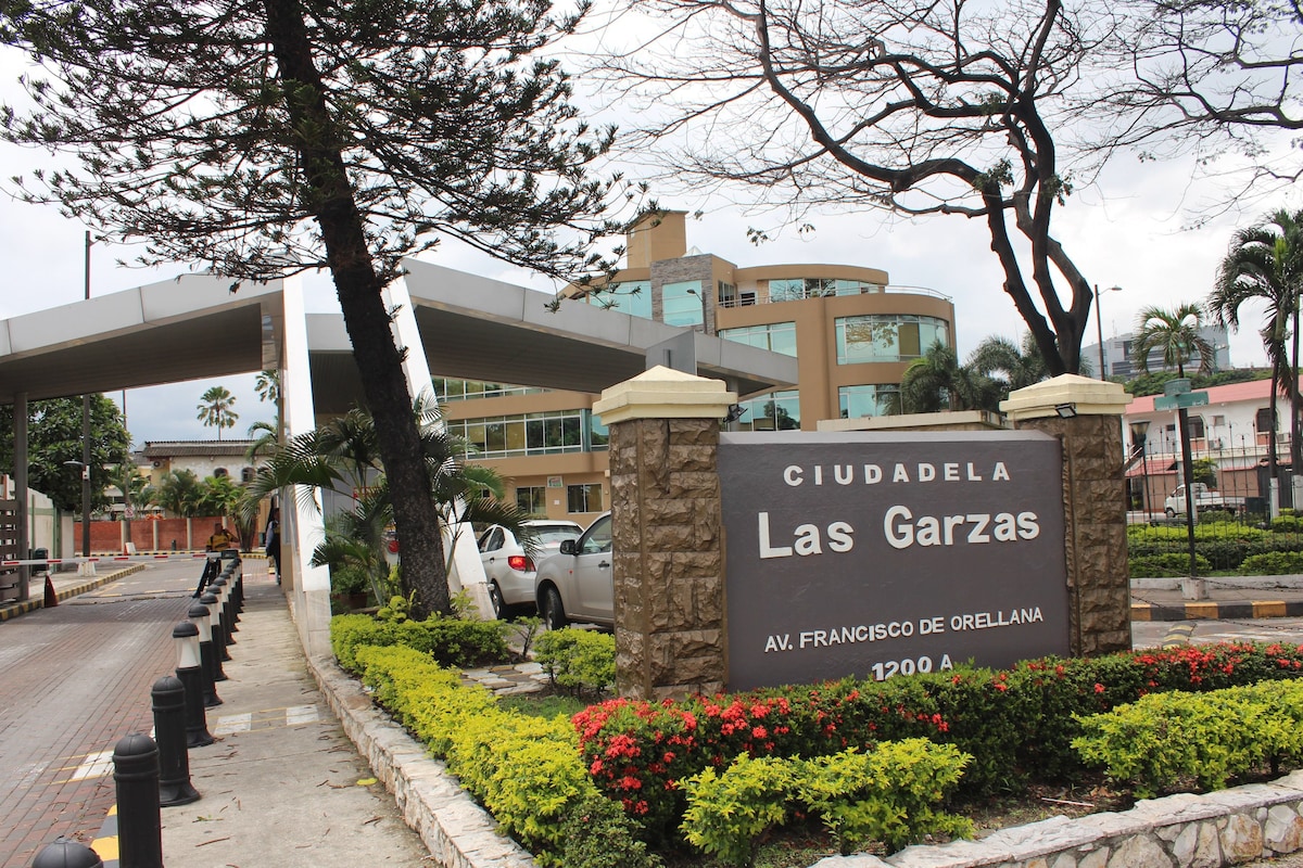 拉斯加尔萨斯（ Las Garzas ）温馨、中心、安全的套房。