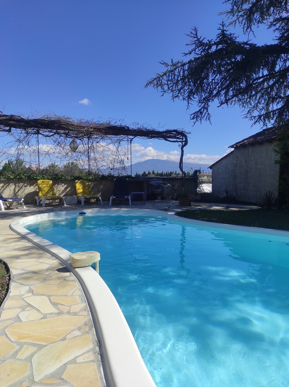 Gîte et piscine avec vue sur le Mont Ventoux