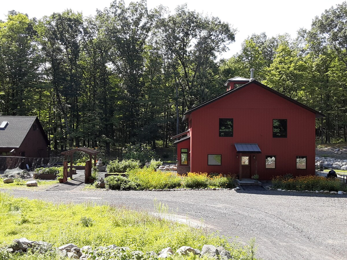 Carson Room at Gunks EcoLodge