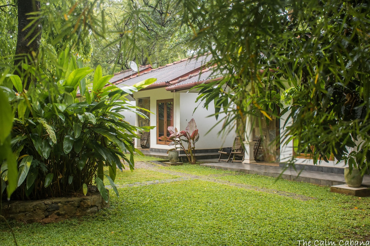 The Calm Cabana - Dambulla