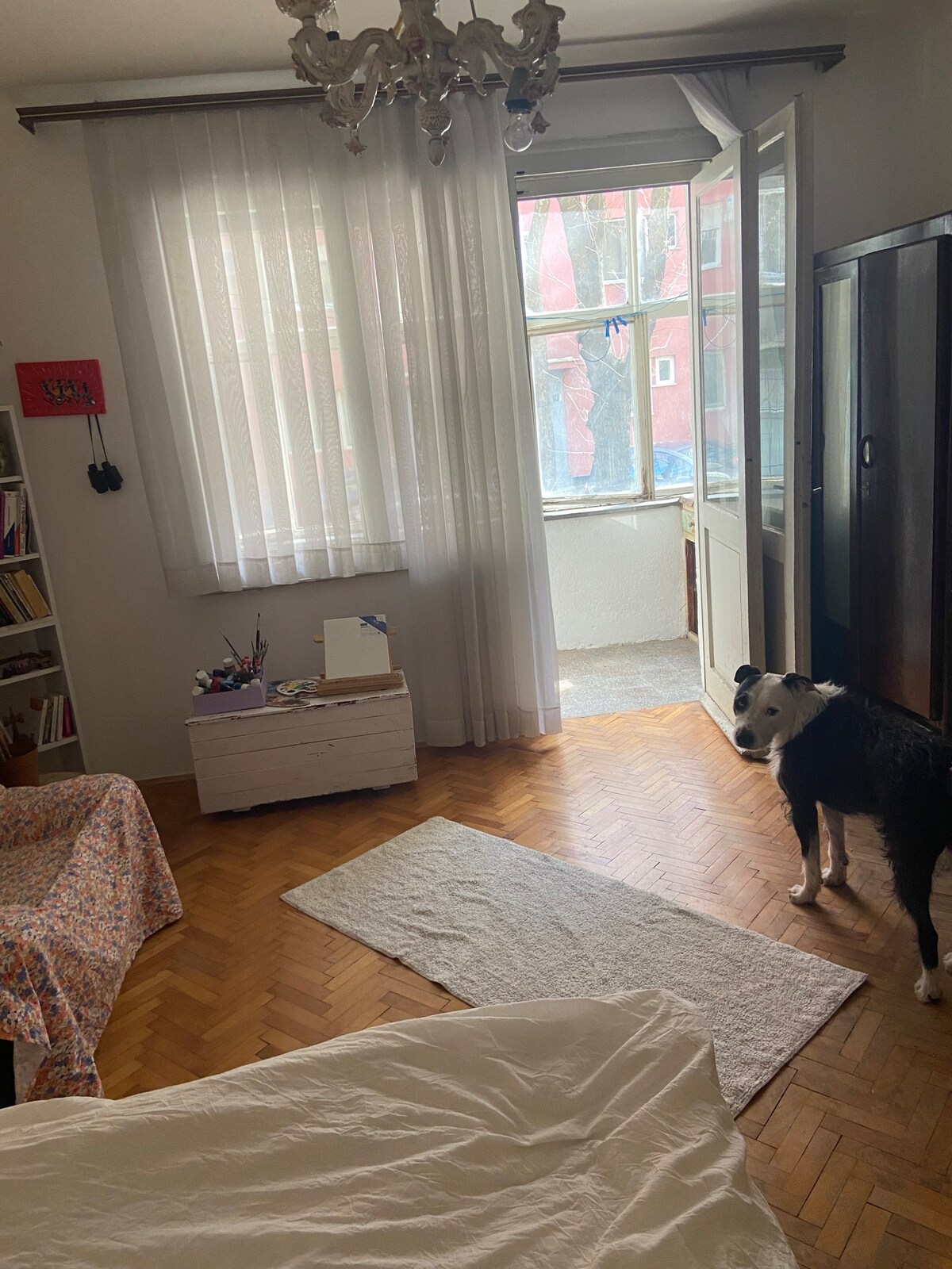 Room in an apartment in the city center