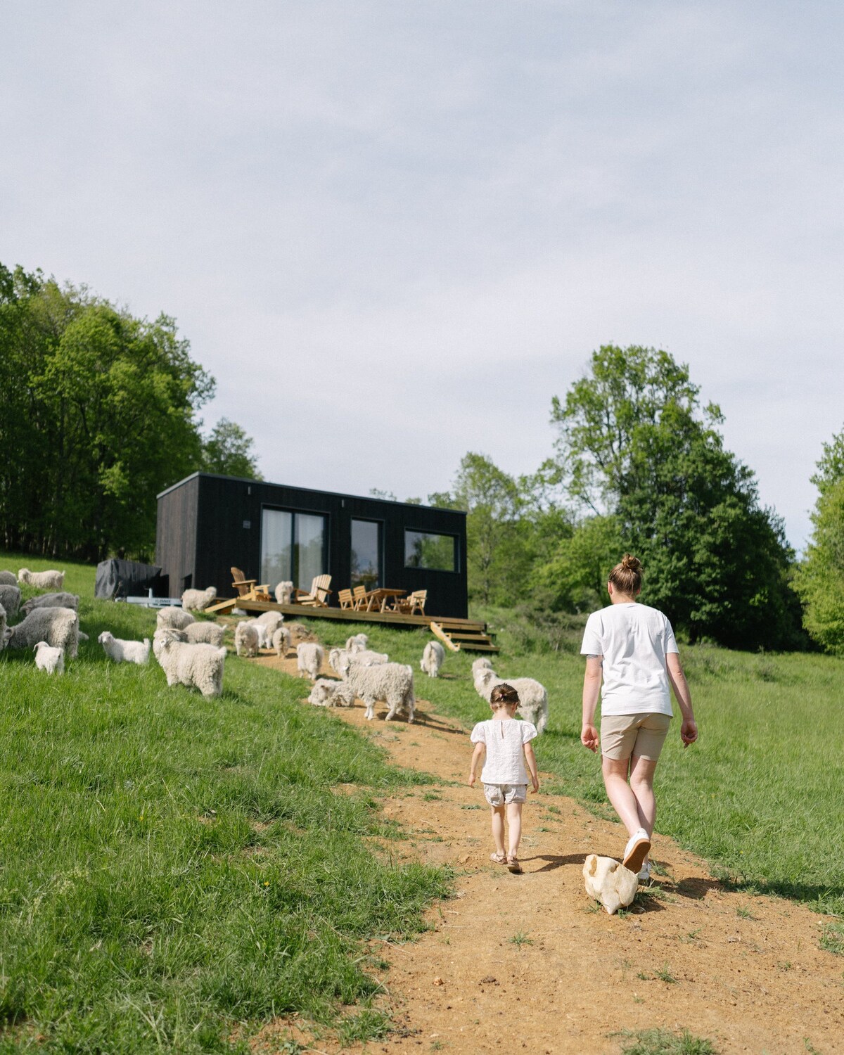 Parcel Tiny House - près des chèvres vue Pyrénées