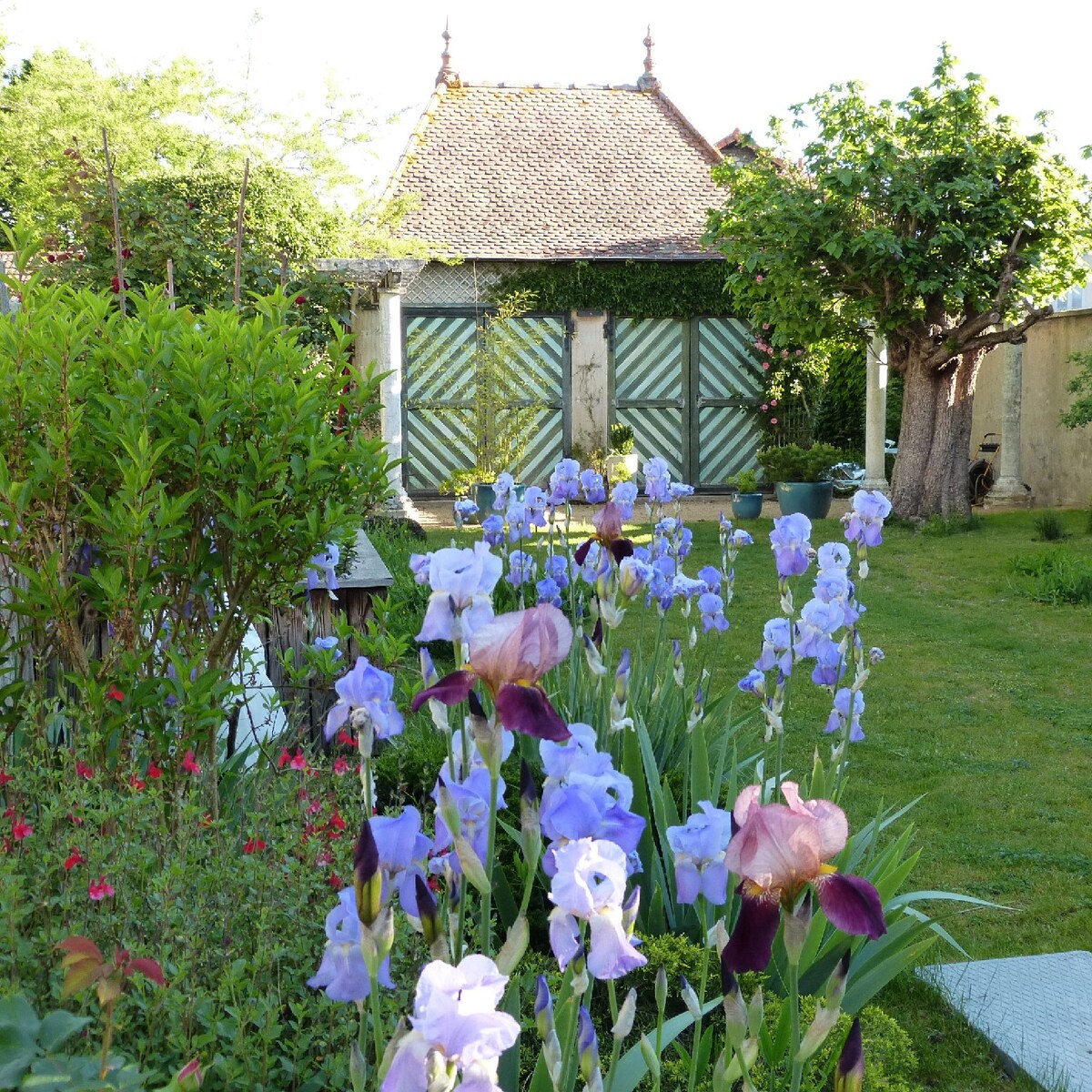 Maison à louer pour les vacances