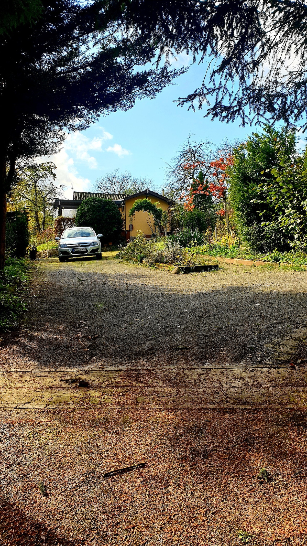 Mein Garten Avolon! Ein Traum