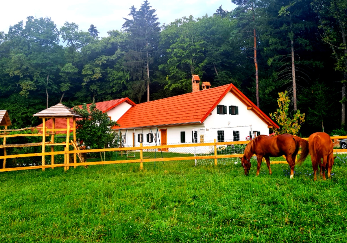 House by the forest near Petau