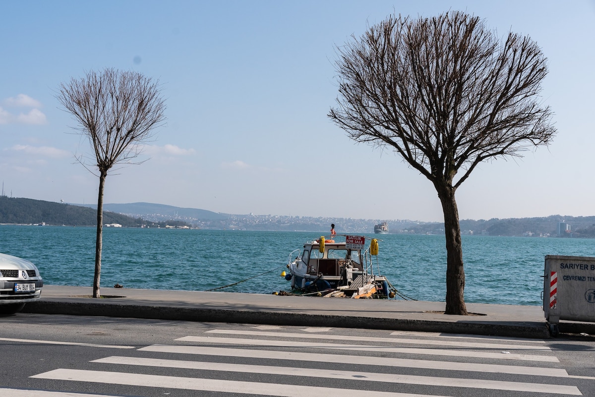 博斯普鲁斯海峡（ Bosphorus ）旁边的壮观3卧室房源