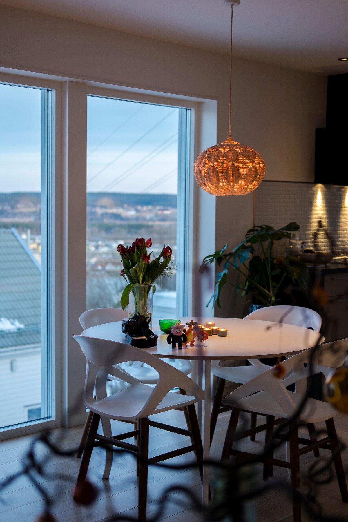 Scandinavian design home with Panorama view