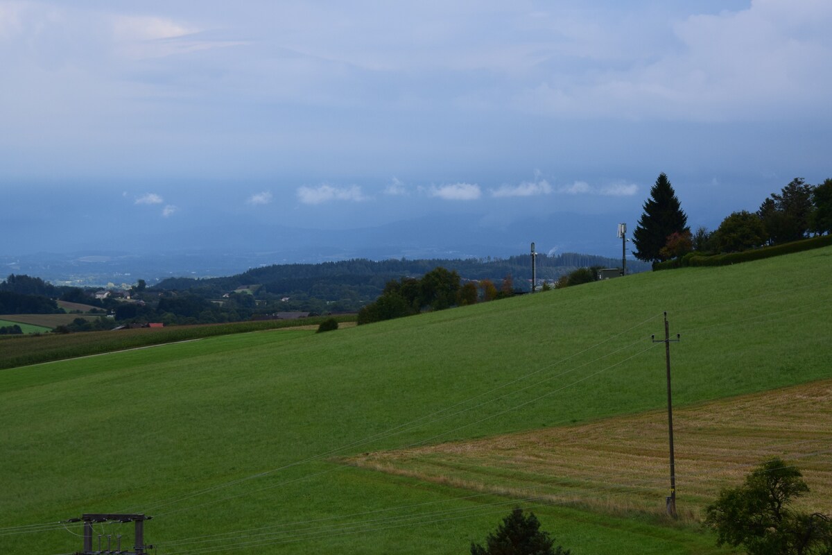 Traunstein Blick