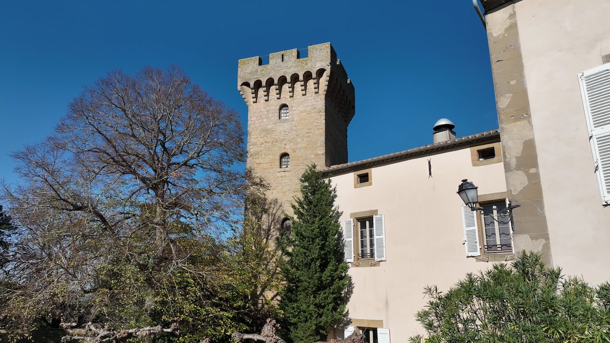 Le Château de la Pomarède