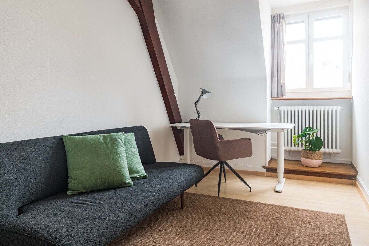 6 room apartment at Schifflände