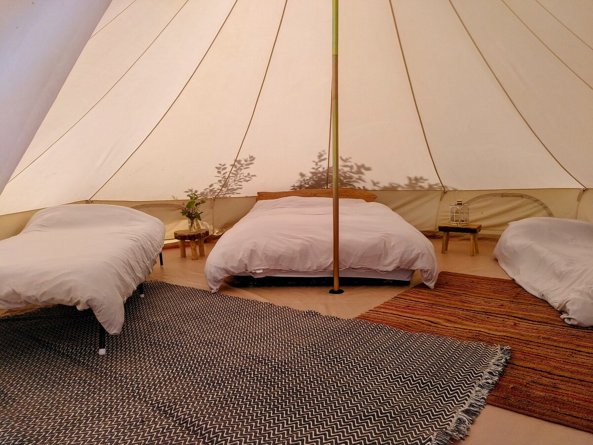 Apple Tree Bell Tent