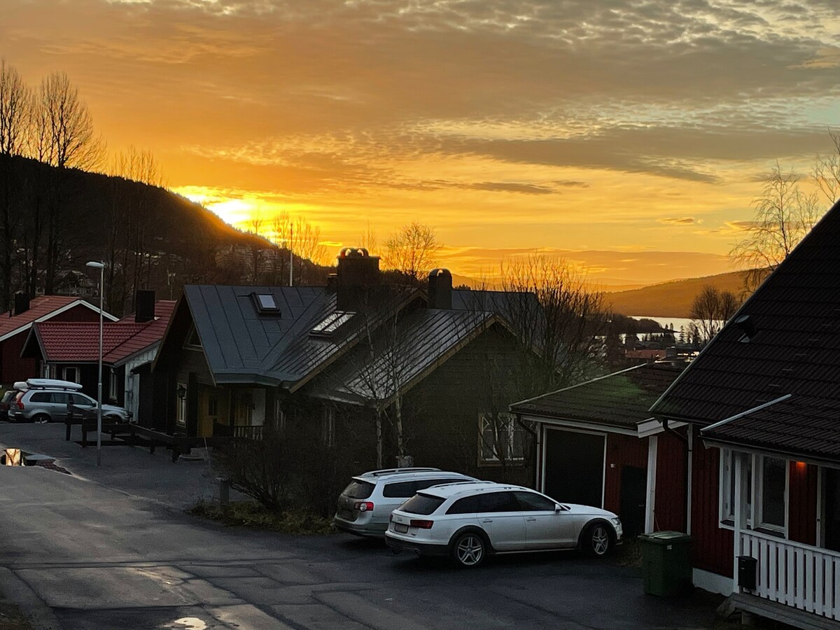 Åre ，市中心。Lienvägen 20.