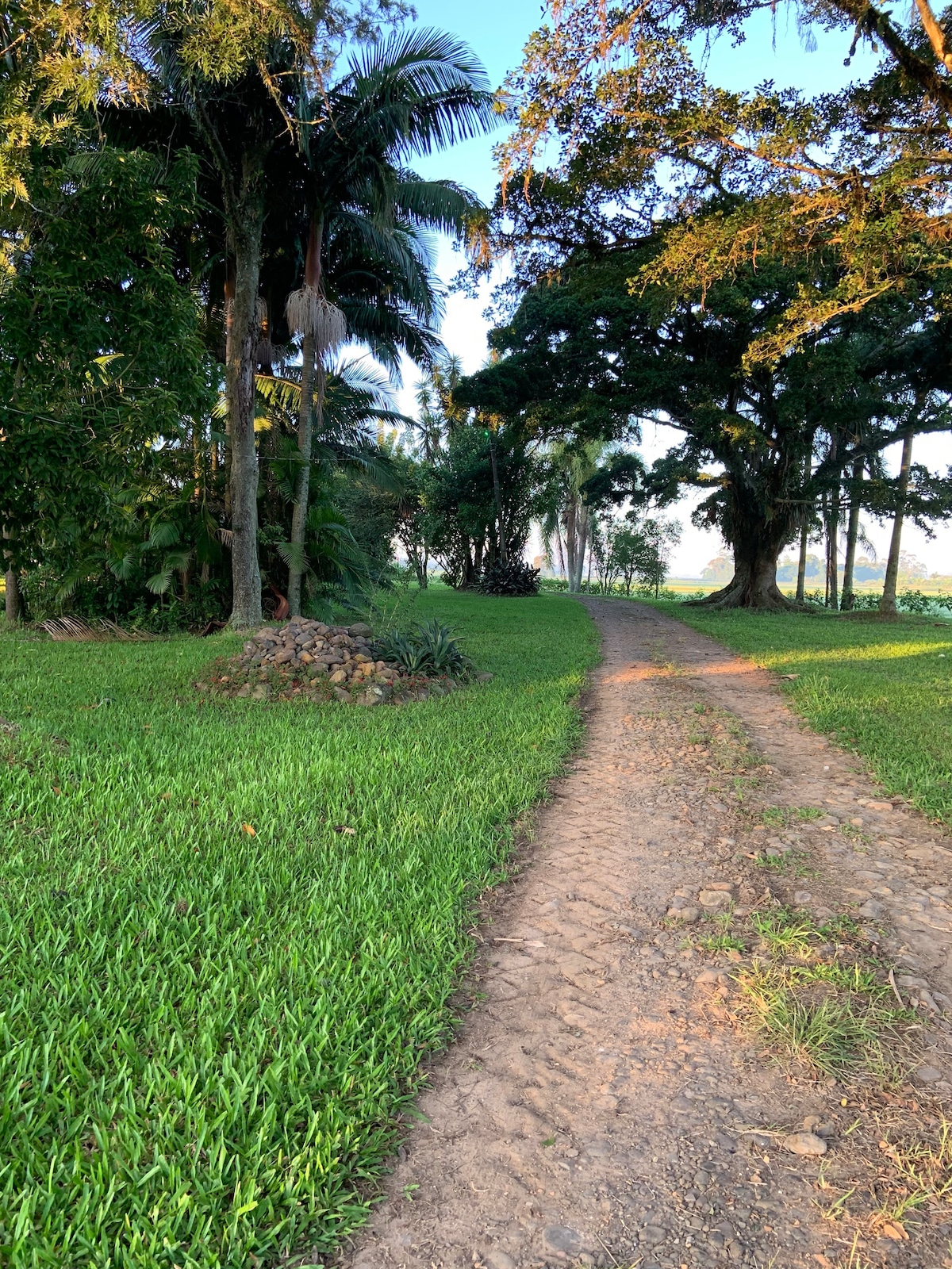 Paz e Natureza! Lindo Sítio para descansar!