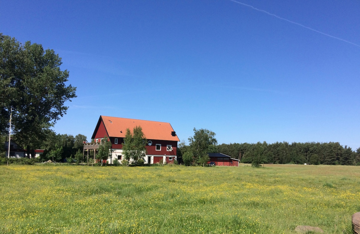 Hus nära havet och Suseåns mynning