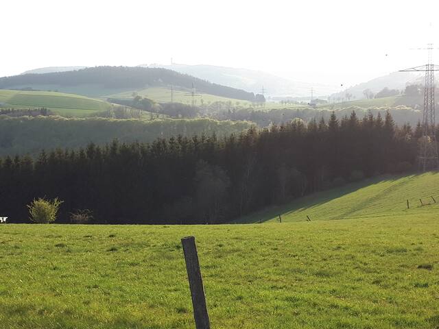 Willingen (Upland)的民宿