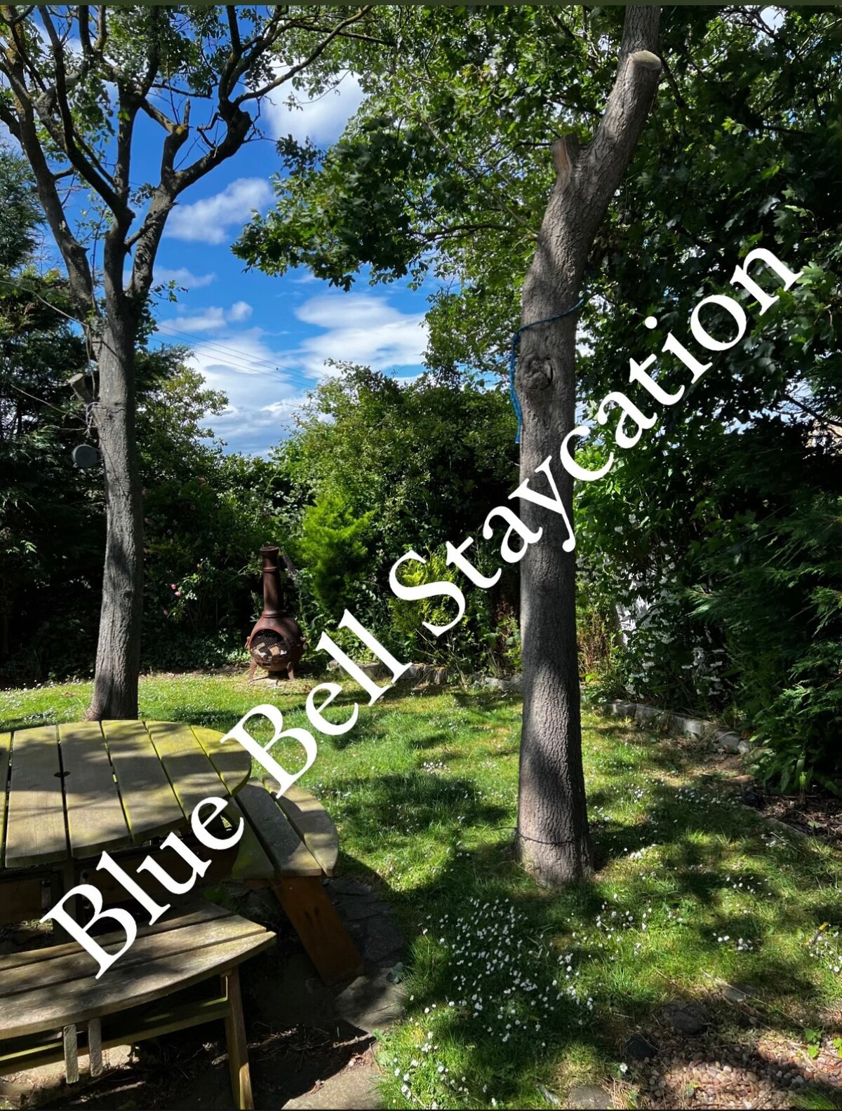Bluebell Staycation