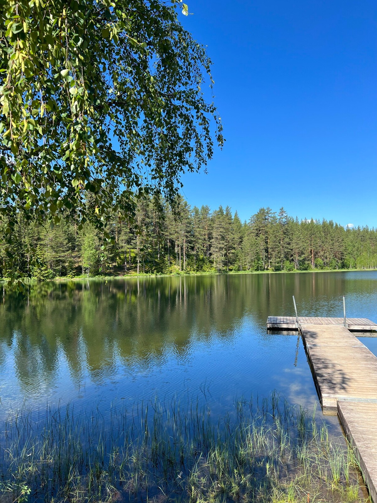 Skogsslottet-Private Sauna and Hot Tub!