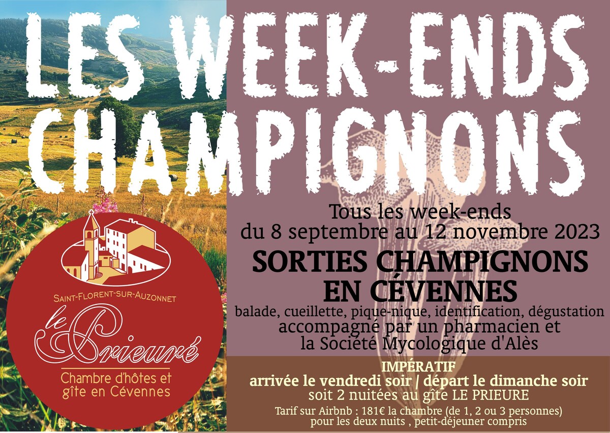 Les Week-ends Champignons/chambre Fanny