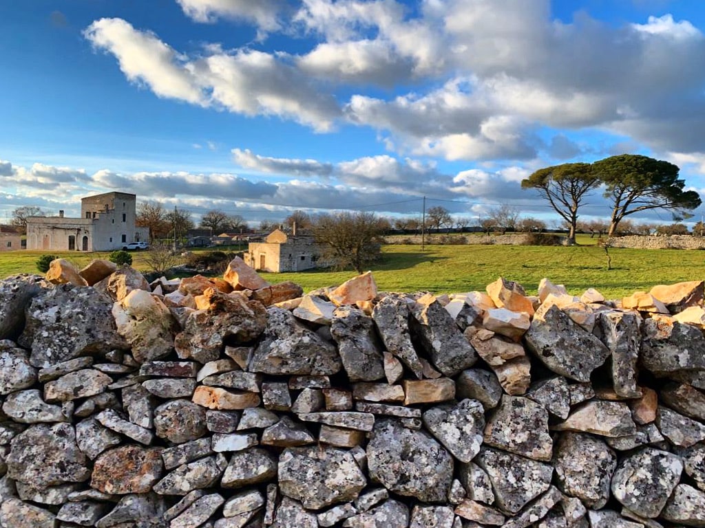 Masseria Contursi Origano