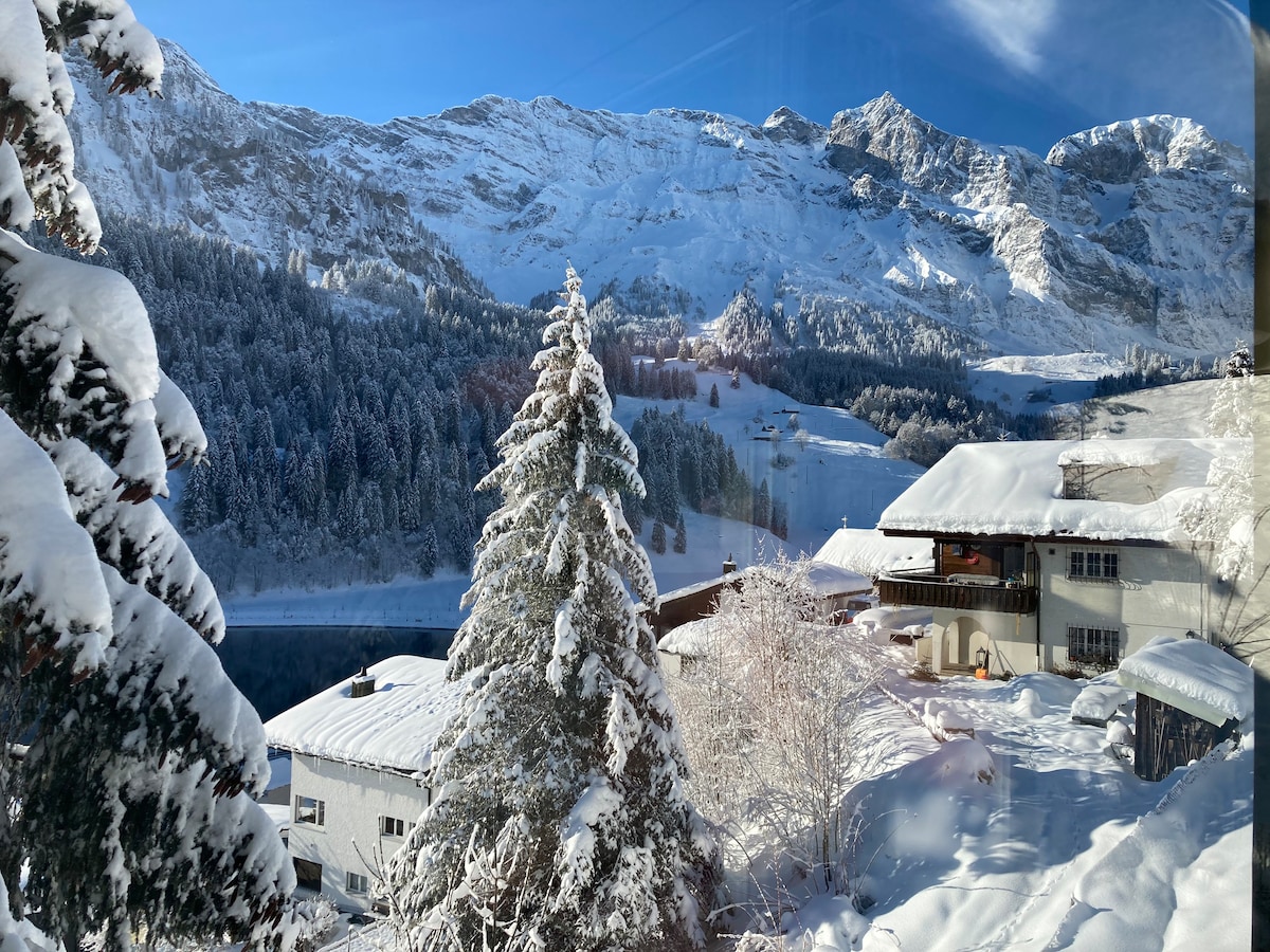 Eugenia Haus Villa/Ski Lodge mountain &valley view