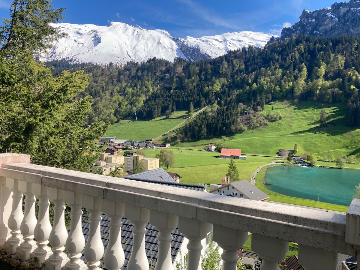 Eugenia Haus Villa/Ski Lodge mountain &valley view