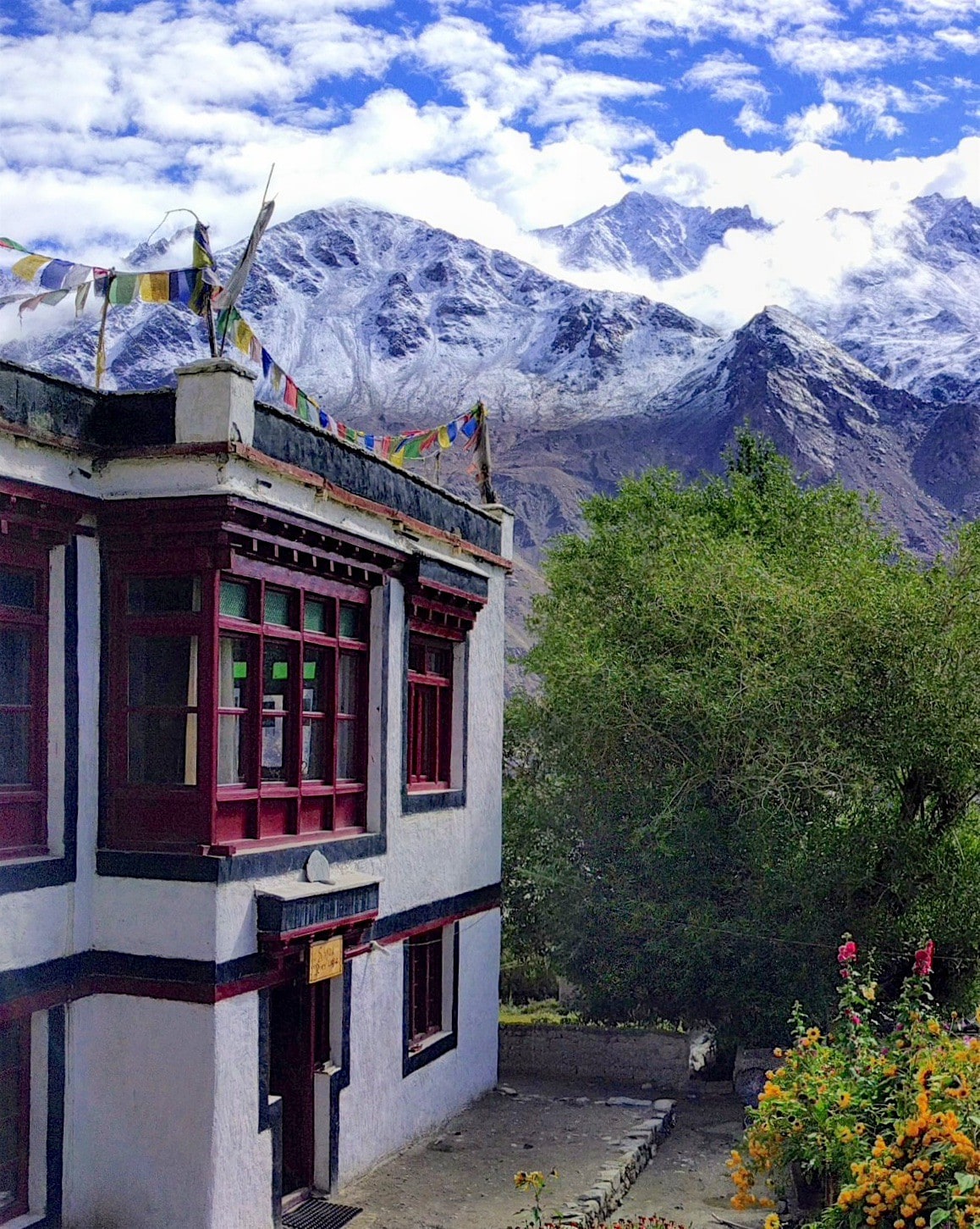 Shyok River Lodge - Dragon Room