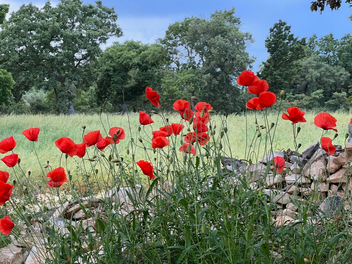 Masseria Contursi Rucola