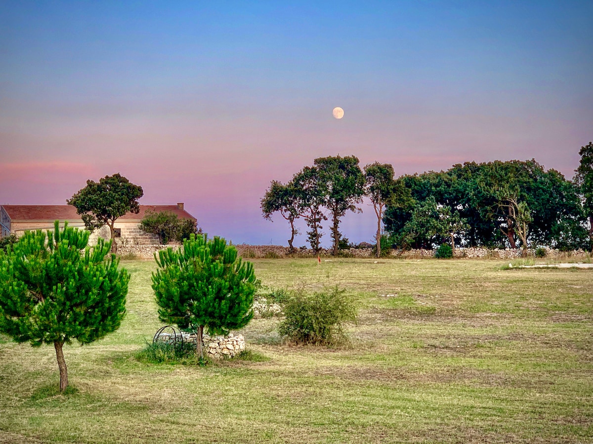 Masseria Contursi Rucola