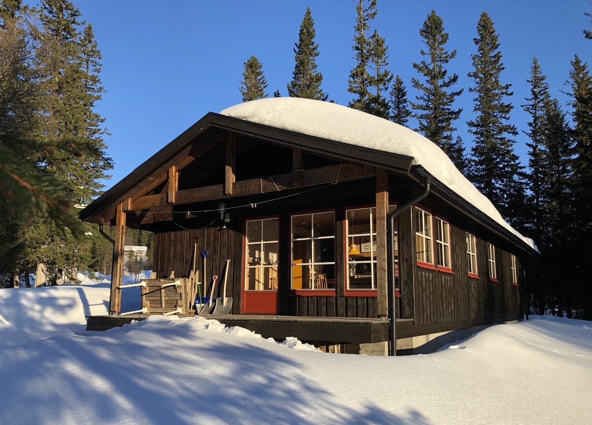 Bydalsfjällen Östersund Åre Jämtland