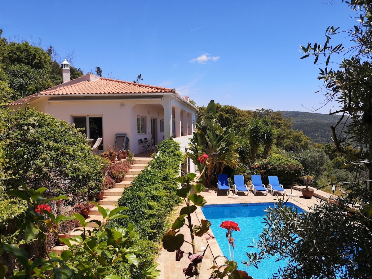 As Andorinhas: Holiday Villa Algarve