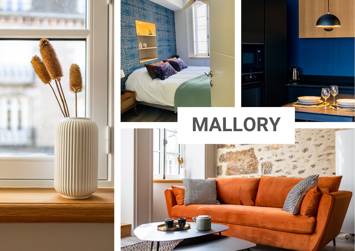 Mallory - Apartment - 4 pers - parking - Dinan