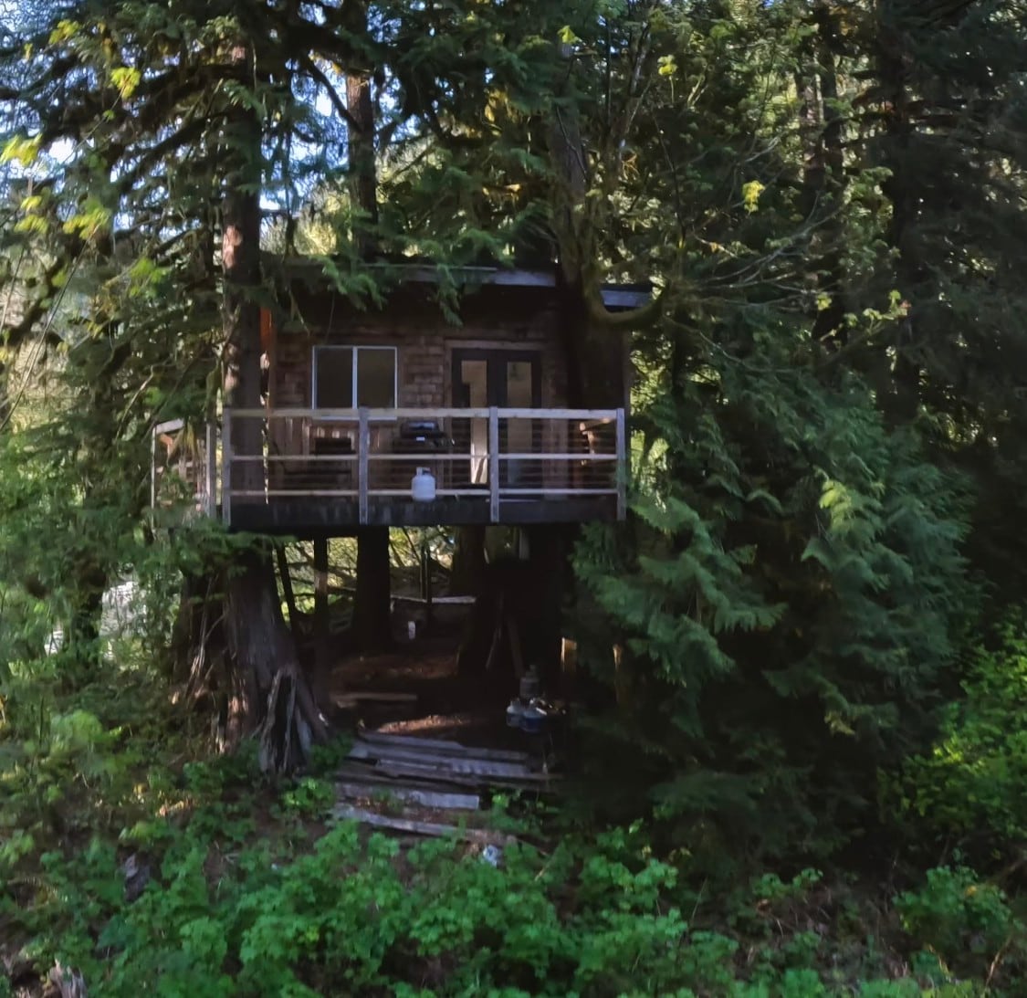 Squamish Tree House