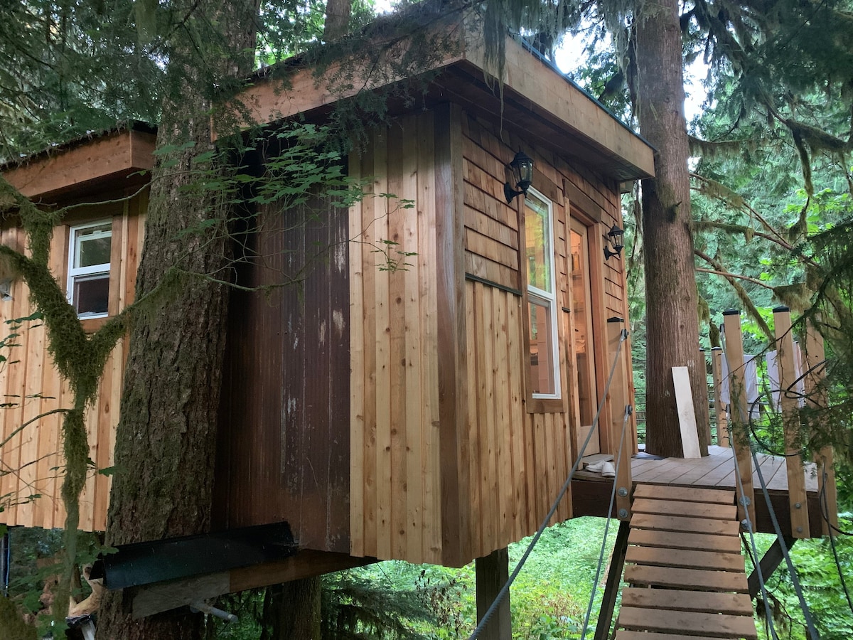 Squamish Tree House
