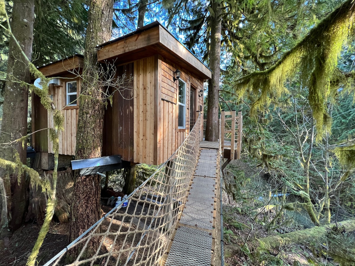 Squamish Tree House