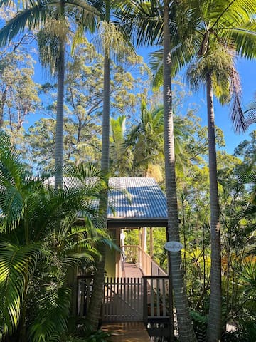 布德林姆(Buderim)的民宿