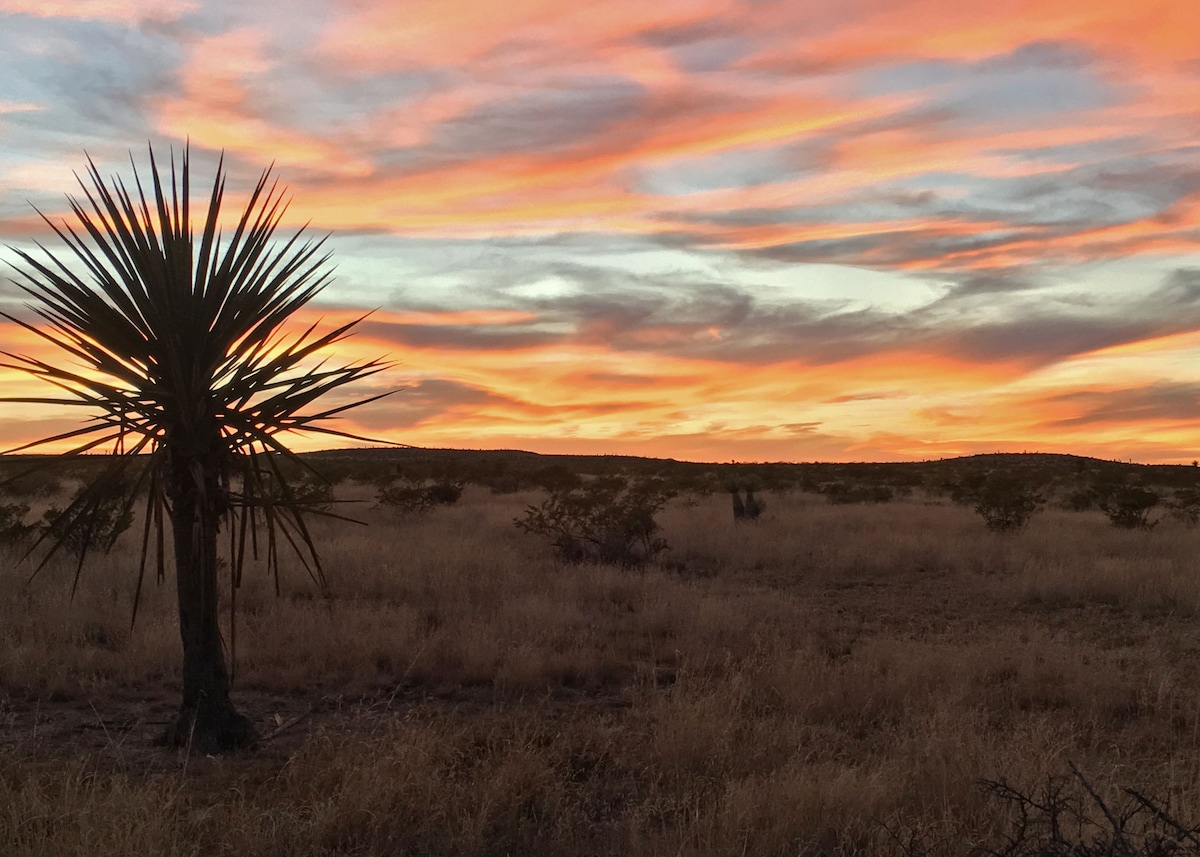 Jack Rabbit Ranch/Far West TX