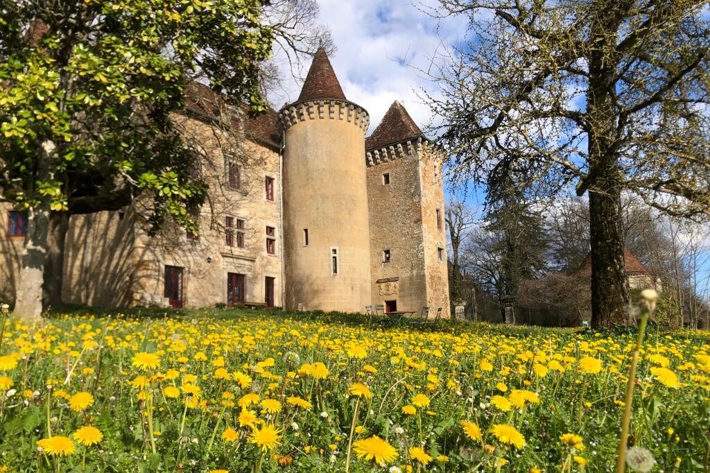 cottage Ginkô château de Saint-Dau