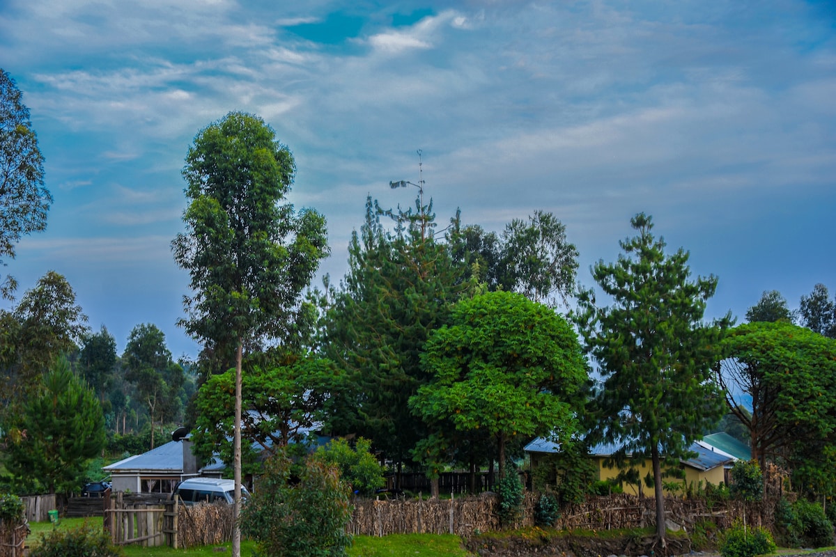 mt muhabaura climbers rest camp