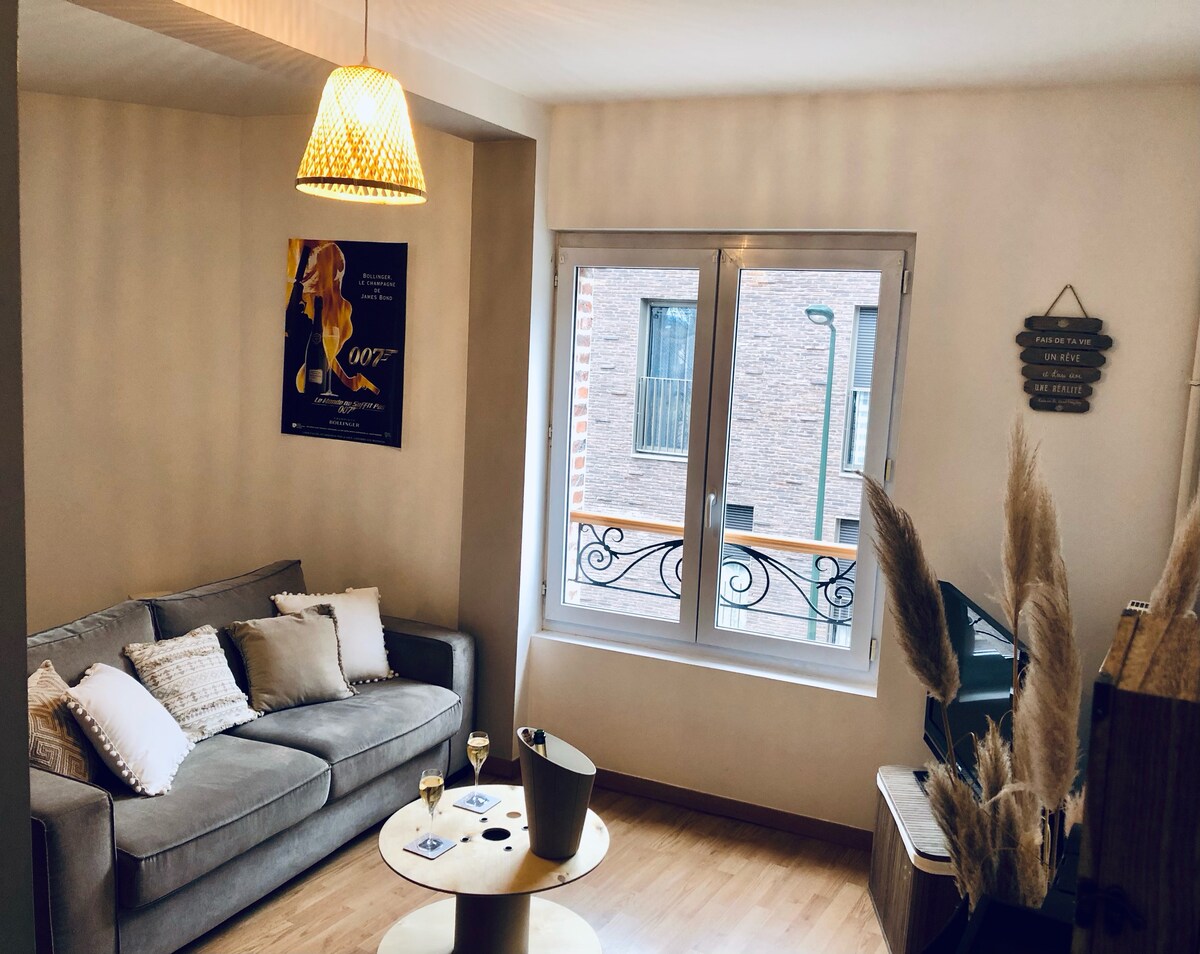 Logement centre ville d Epernay avec parking privé