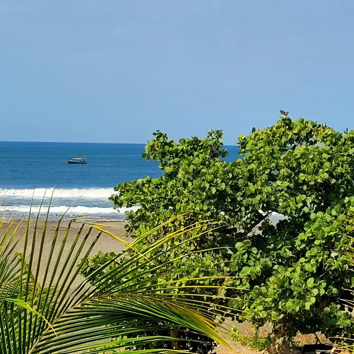 The Nest at El Gallo Gritón