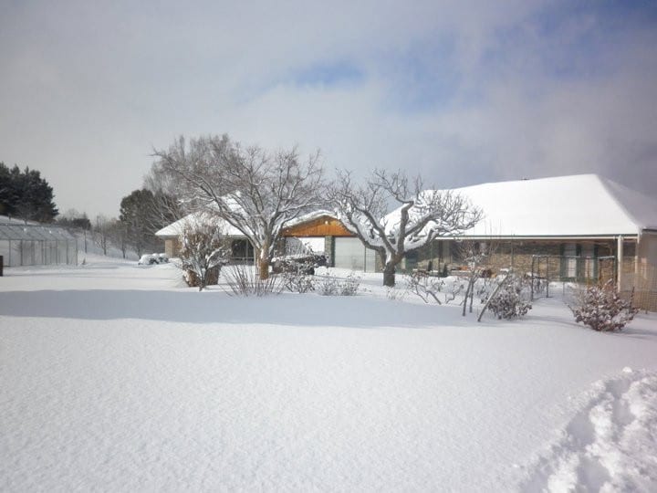 Starforth Farm Homestead