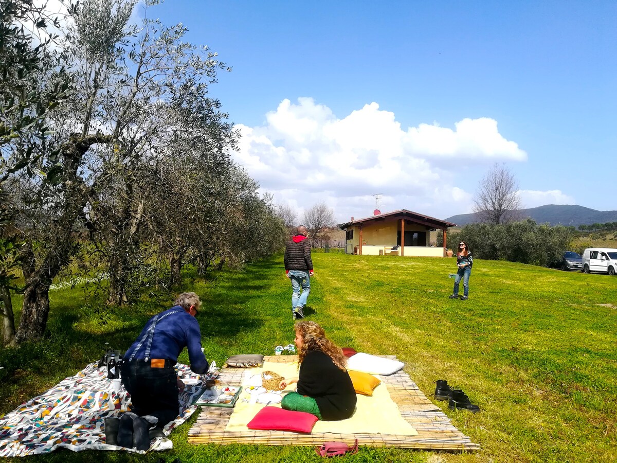 Area di campeggio in campagna 4