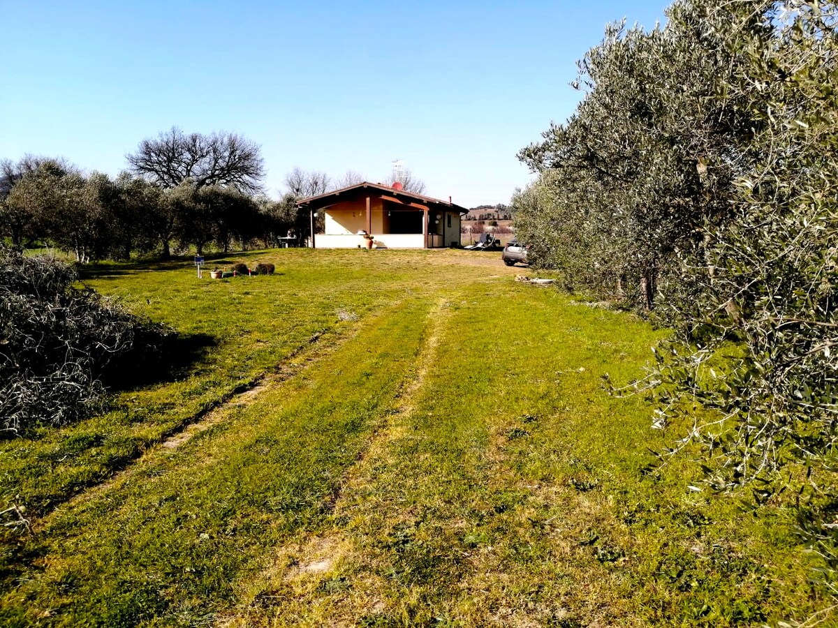 Area di campeggio in campagna 4