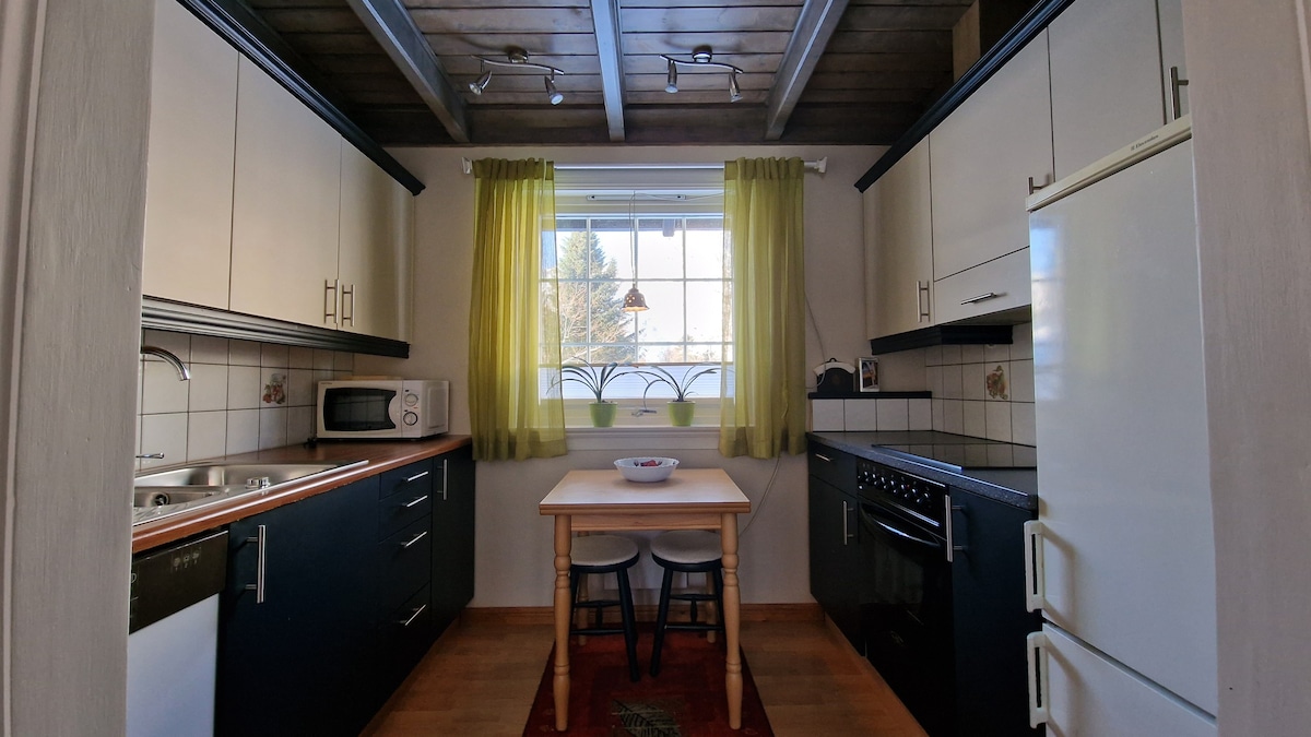 位于Lofoten的Kabelvåg的舒适公寓。