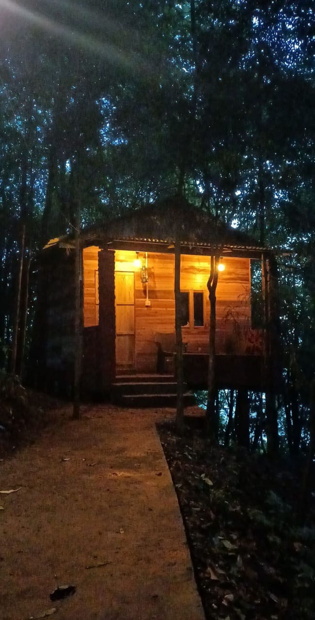 Orion Retreat Jungle Huts