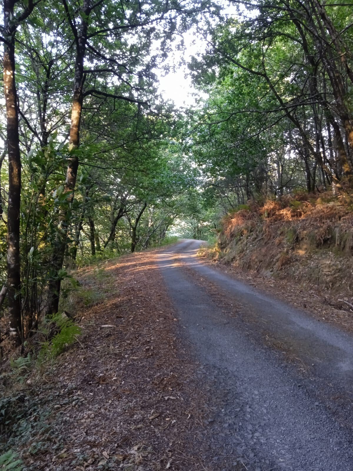 里贝拉萨克拉（ Ribeira Sacra ）的舒适住宿。