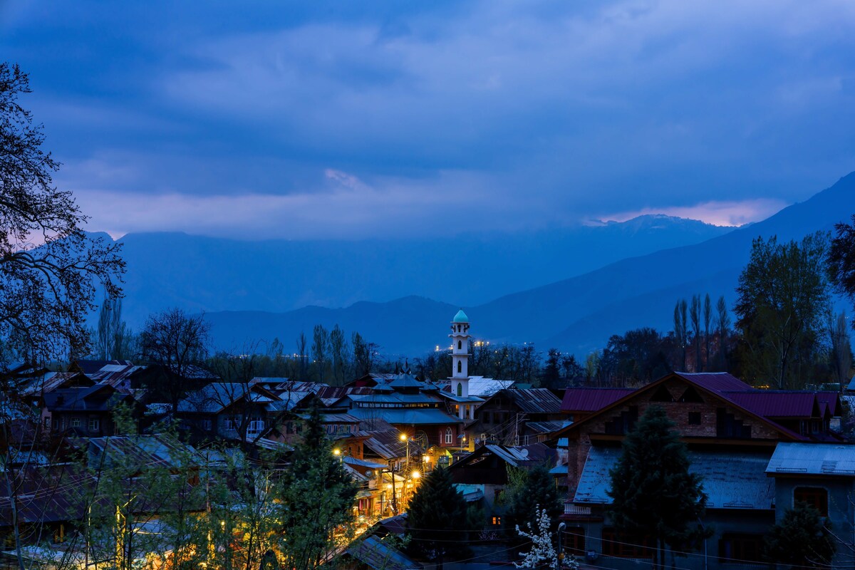 Zostel Srinagar | Standard Double Room