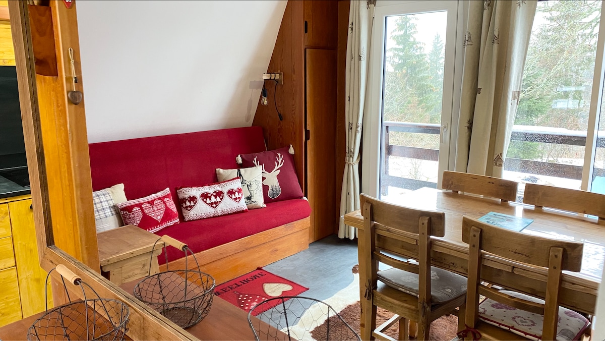 Chalet rustique et authentique sur les pistes