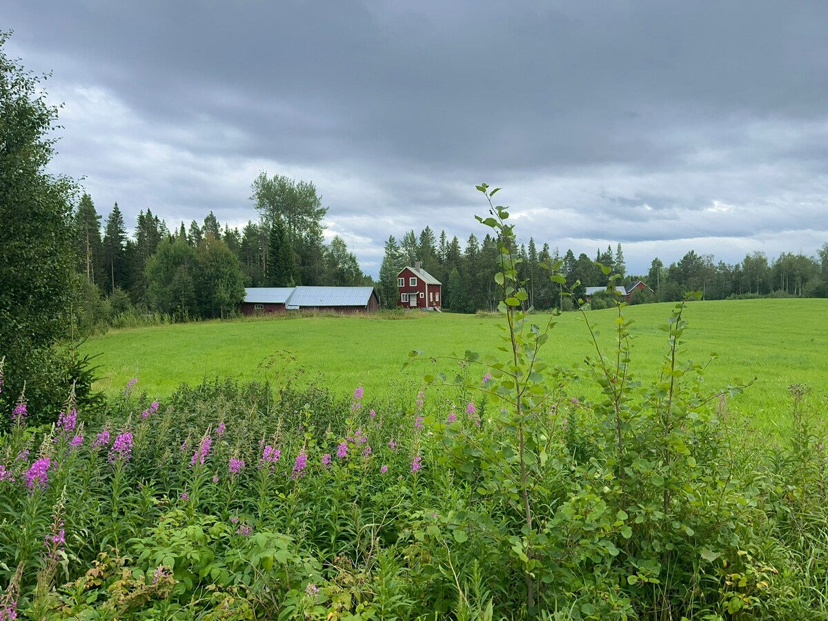 在风景优美的Oviksbygden农场
